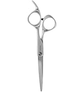Fromm Transform 5.75" Extra Smooth Hair Cutting Shears for Wet and Dry Hair, Polished Silver Japa...