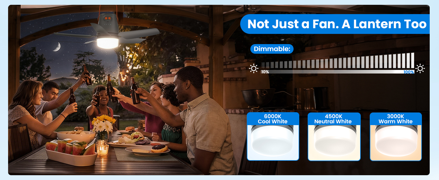 outdoor ceiling fan with light