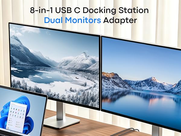docking station dual monitor