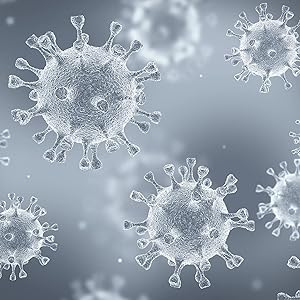 Microscopic image of bacteria