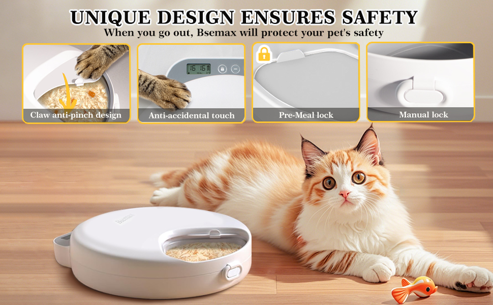 wet food automatic feeder