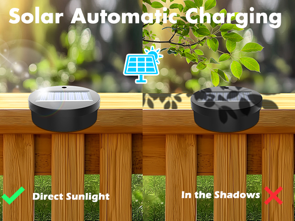 solar lights outdoor