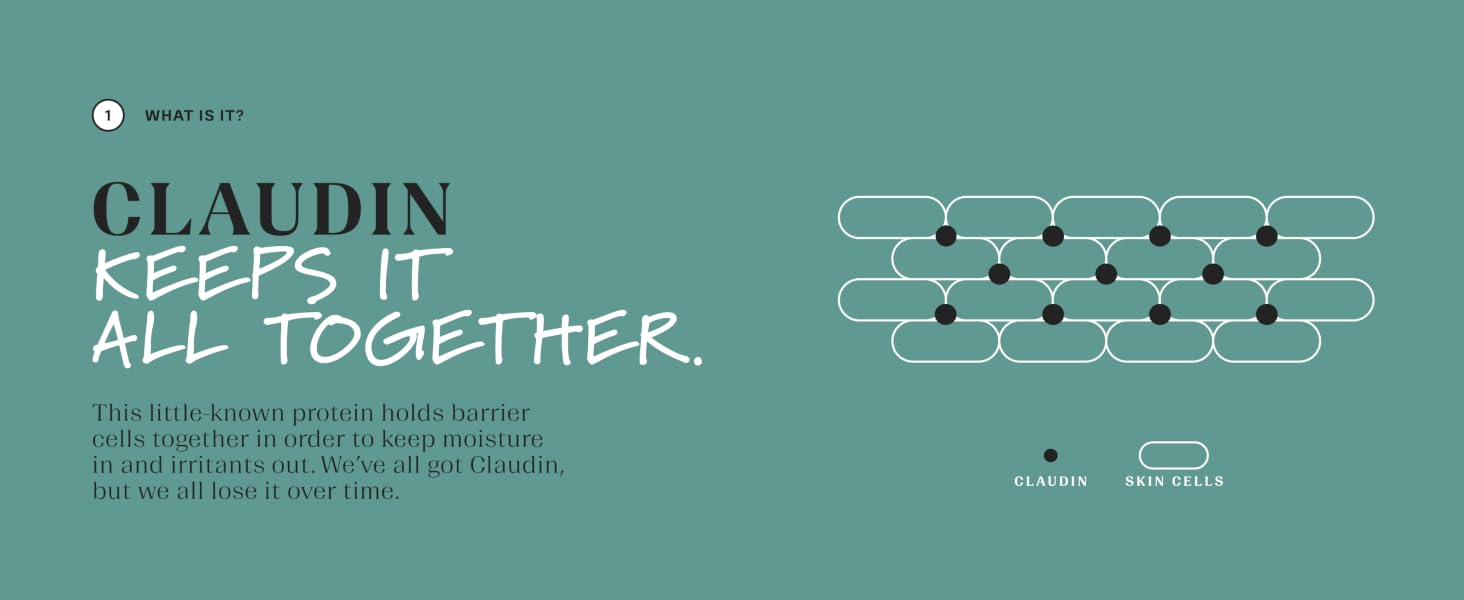 Claudin keeps it all together