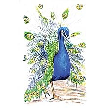 peacock 2