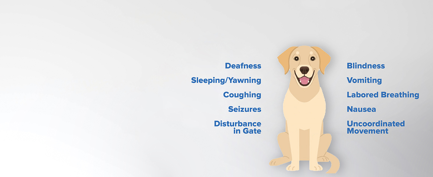 Kidde Nighthawk Carbon Monoxide Detector &amp; Propane