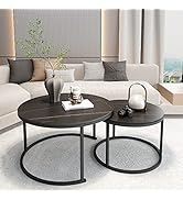 ZL ZELing Marble Coffee Table Nesting Set of 2 Side Set,Round Nesting Coffee Table with Sintered ...