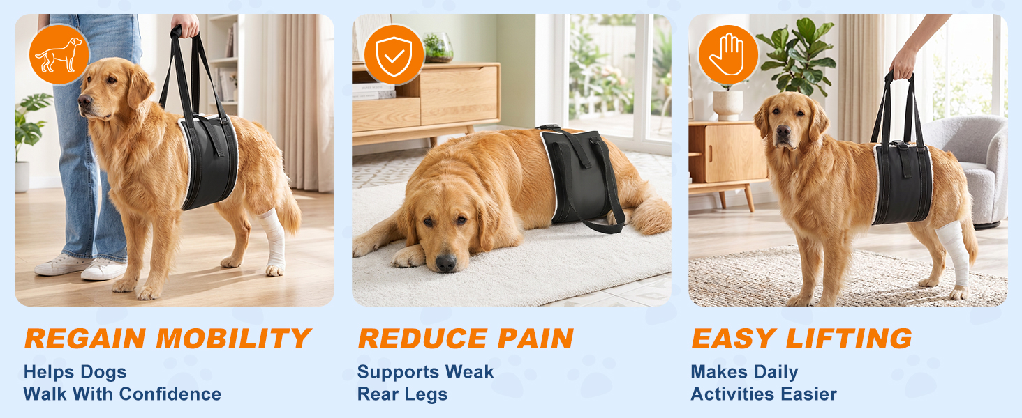dog harness medium sized dog