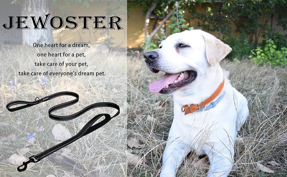 Two handle dog leash
