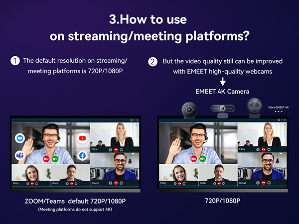 a screenshot of a video conference.