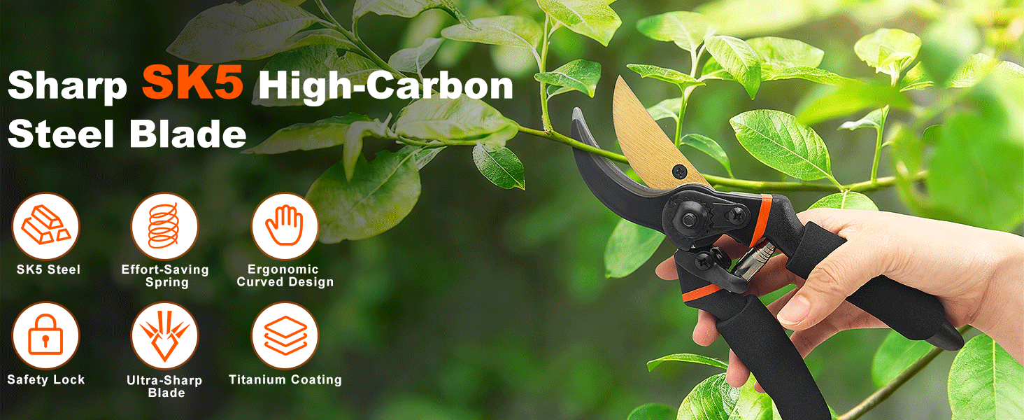 Pruning Shears
