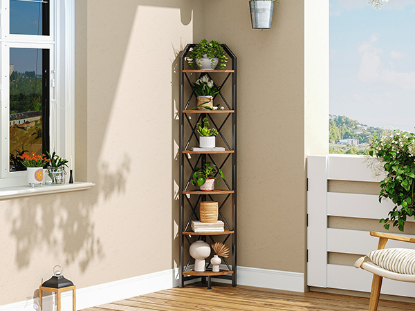 Corner Shelf