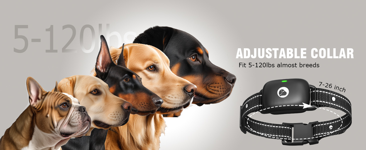 dog training collar dog training collar with remote