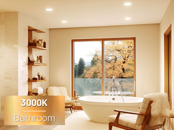 can lights for ceiling 6 inch