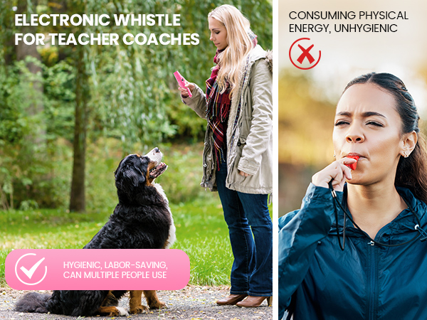 Whistle for Teachers