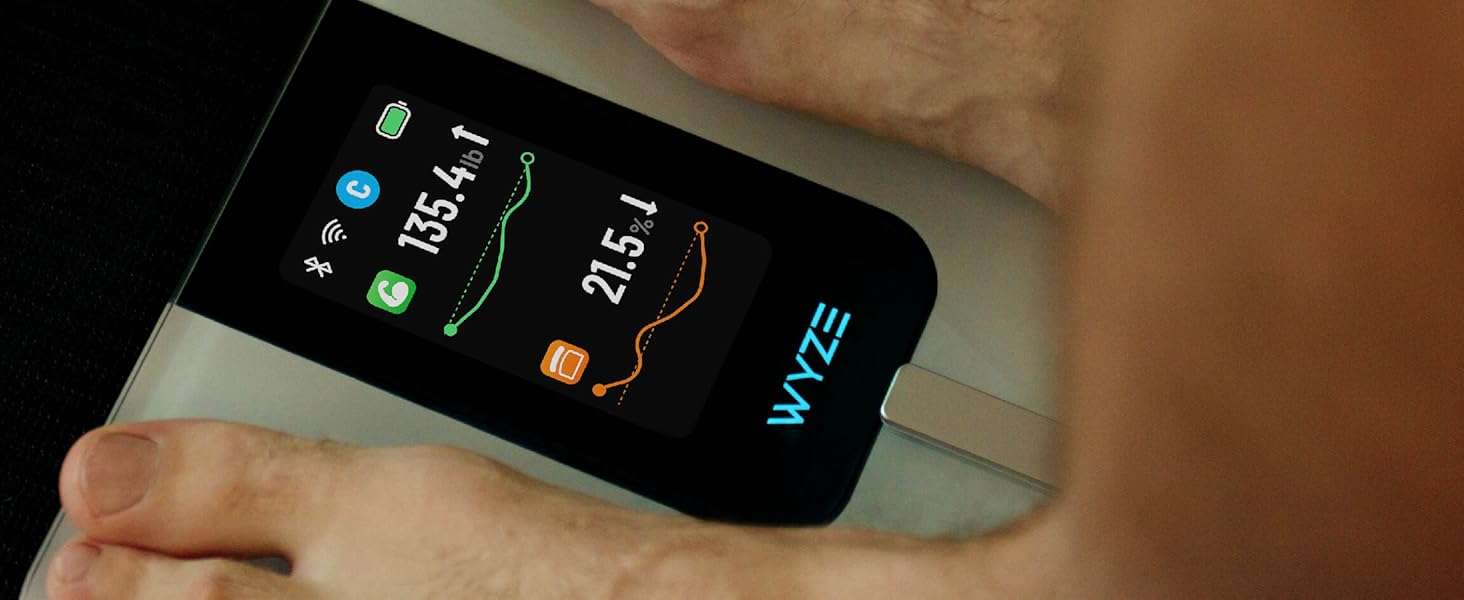 Body Metric Data Trends