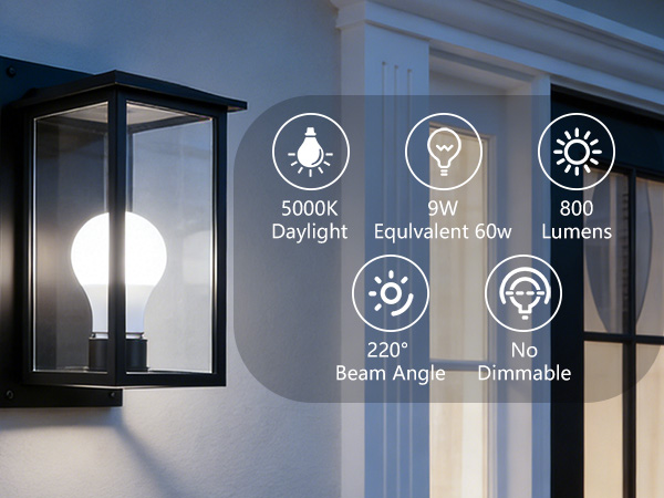 outdoor smart bulb