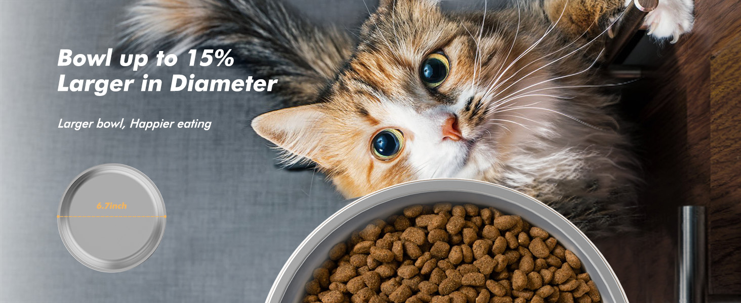 automatic cat feeder