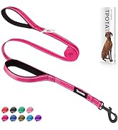 6 Foot Fuchsia Dog Leashes for Large Medium and Small Breed Dogs That Pull,Reflective Nylon Heavy...