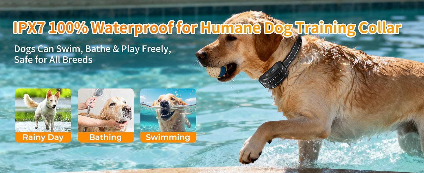 dog training collar 9