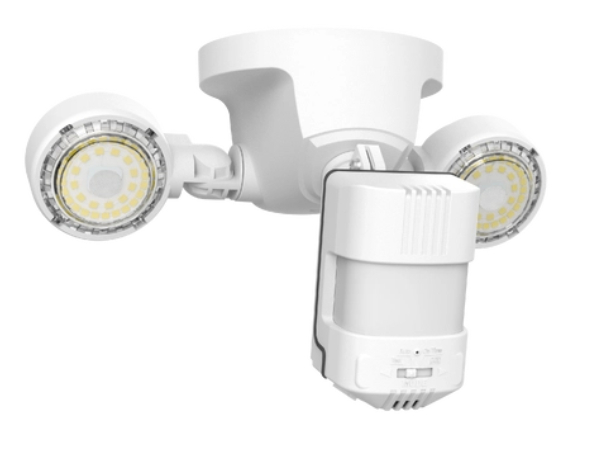 25W security light