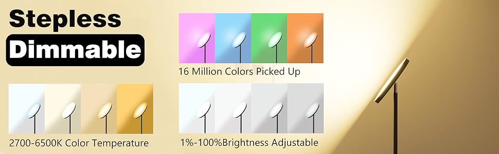 Brightness dimmable floor lamp