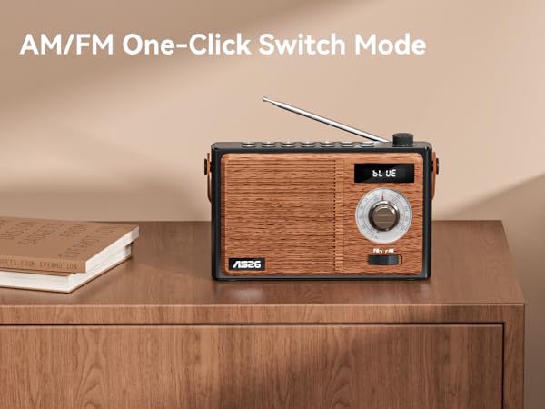 Support USB/TF/AUX Player