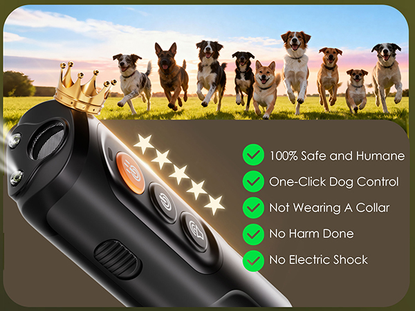 anti barking device for dogs