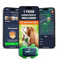 https://m.media-amazon.com/images/I/51Oe-NWWNCL.__AC_SR200,225___.jpg