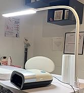 SKYLEO Desk Lamp - 33.5" Desk Light - Flexible Gooseneck - 5 Color Modes X 11 Brightness Levels -...