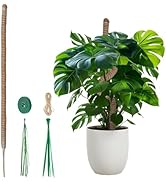 Mcbazel 47 Inch Moss Pole for Plants Monstera, Monstera Plant Support Stick, Bold Version Bendabl...