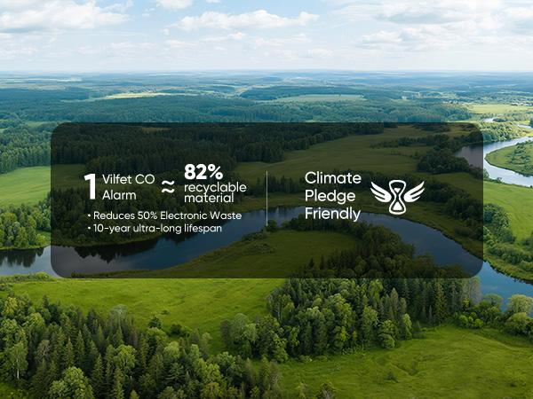 Carbon Monoxide Detectors