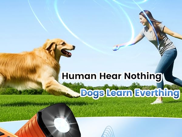 dog bark control anti bark