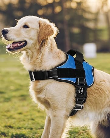 Outdoor Dog Harness