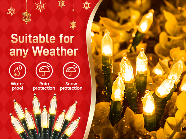Warm white Christmas lights-3