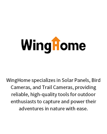 WingHome Brand Story