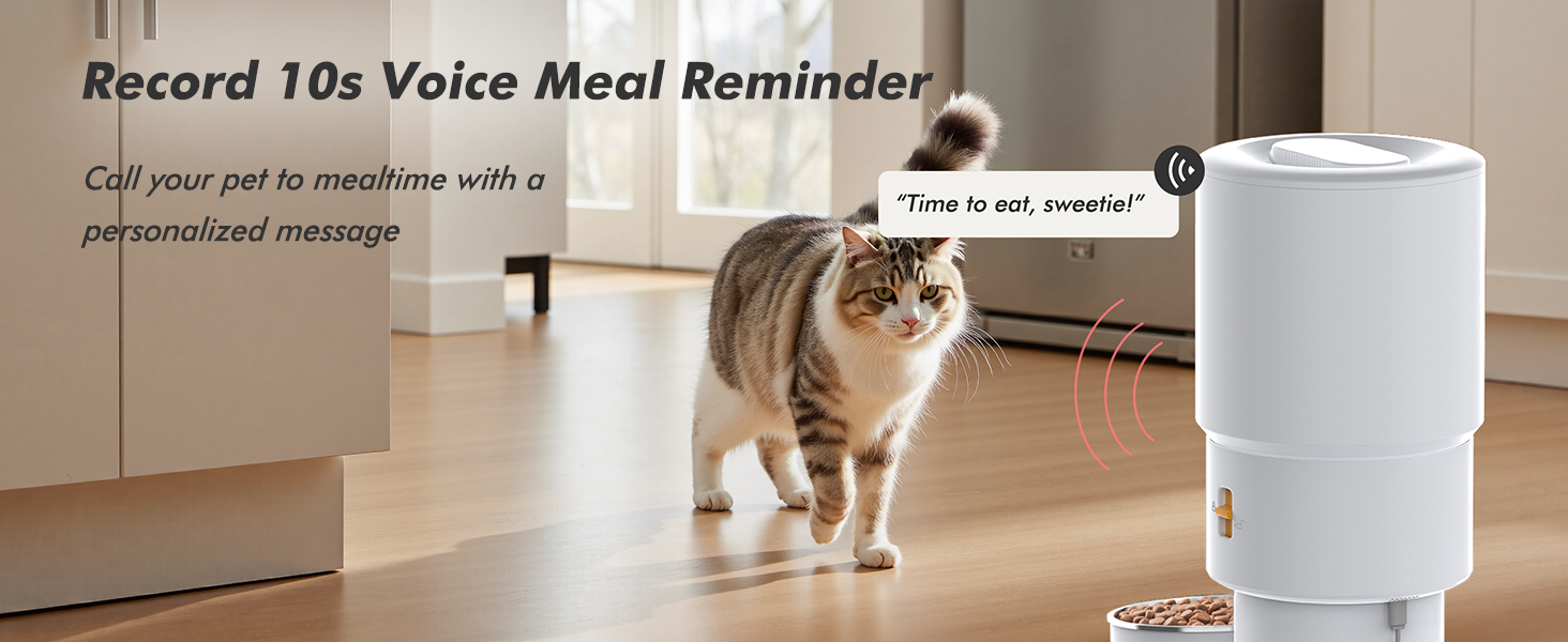 automatic cat feeder cat food dispenser automatic dog feeder cat automatic feeder pet feeder-m-1