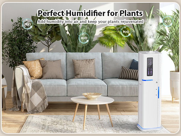humidifier