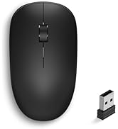 Radidi Wireless Mouse, 2.4GHz Computer Mice with USB Receiver, Portable Wireless USB Mouse Batter...