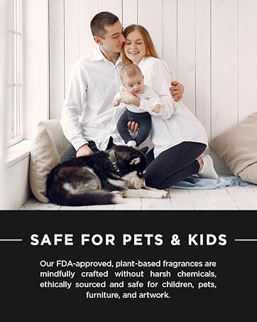 Cozy lounge ambiance, relaxing fragrance, luxury interior scenting