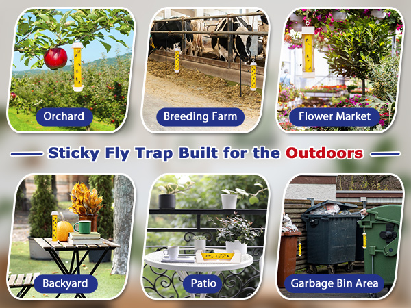 fly traps outdoor