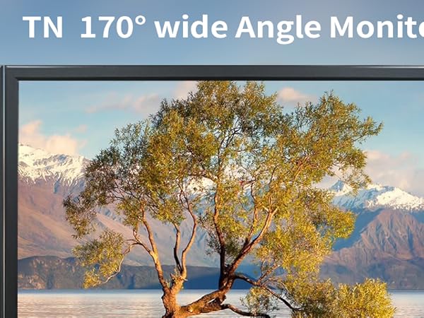 19 inch computer monitor