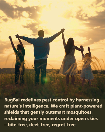 backyard mosquito control