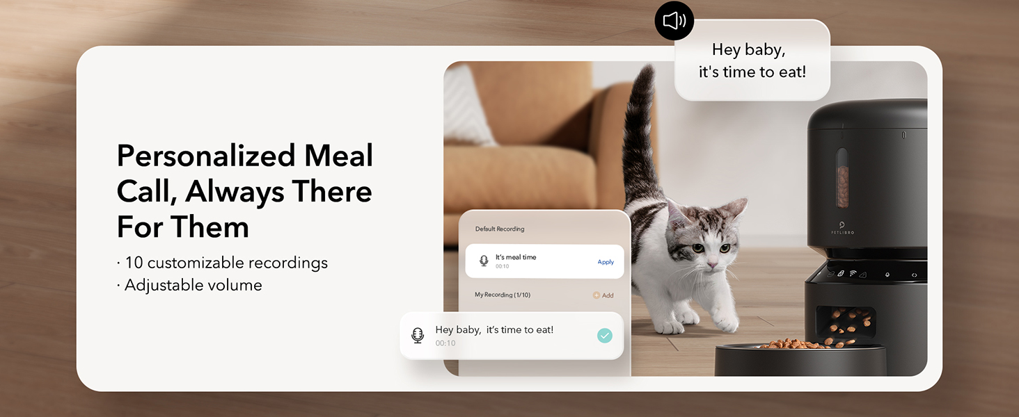 automatic cat feeder