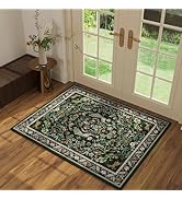 Entryway Rug 2x3 Rug Door Mat Indoor Entrance Washable Rug Small Non-Slip Low Pile Throw Rugs for...