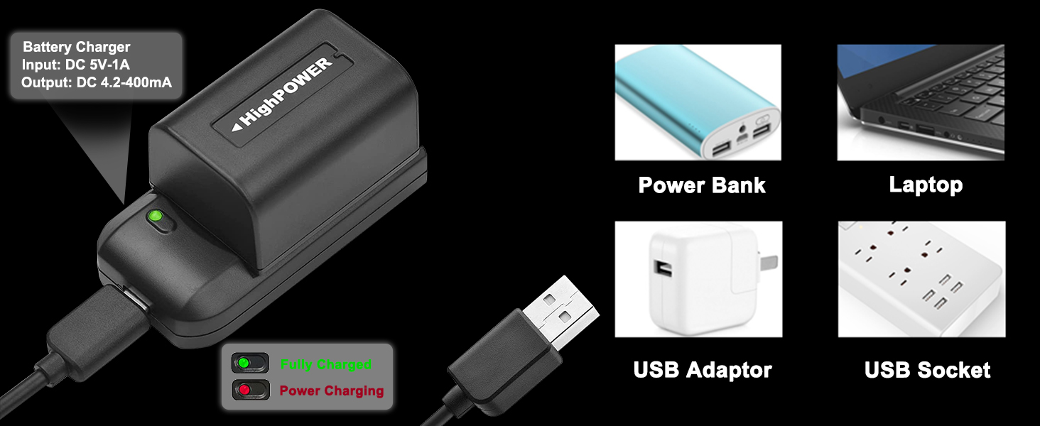 NP-FV5 battery charger