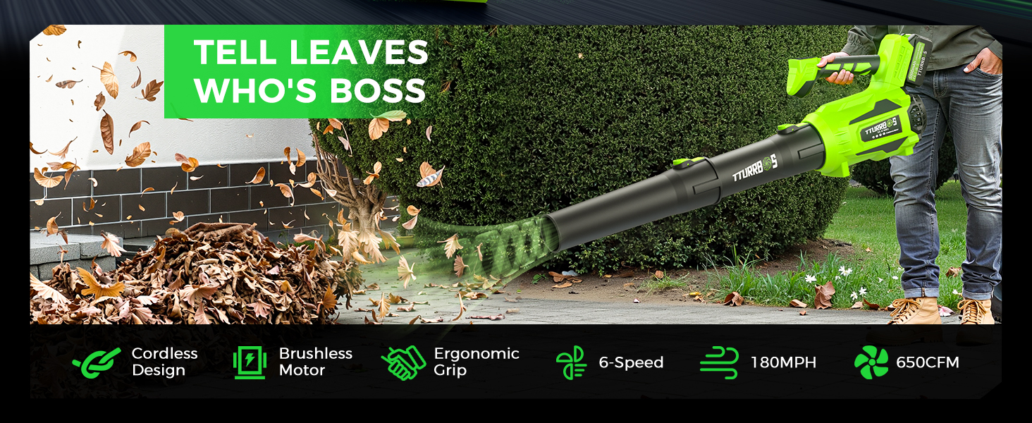 leaf blower