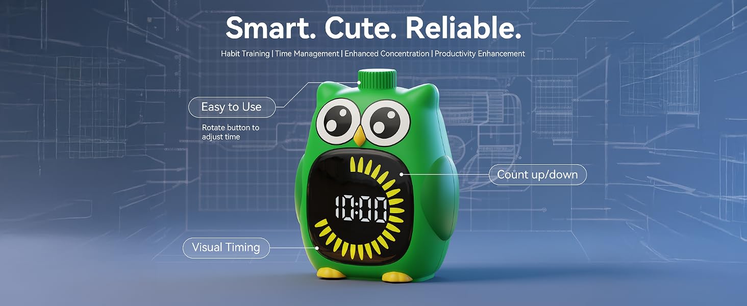 Introduction to the Visual Timer Function