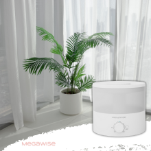 Moisturize Your Plants