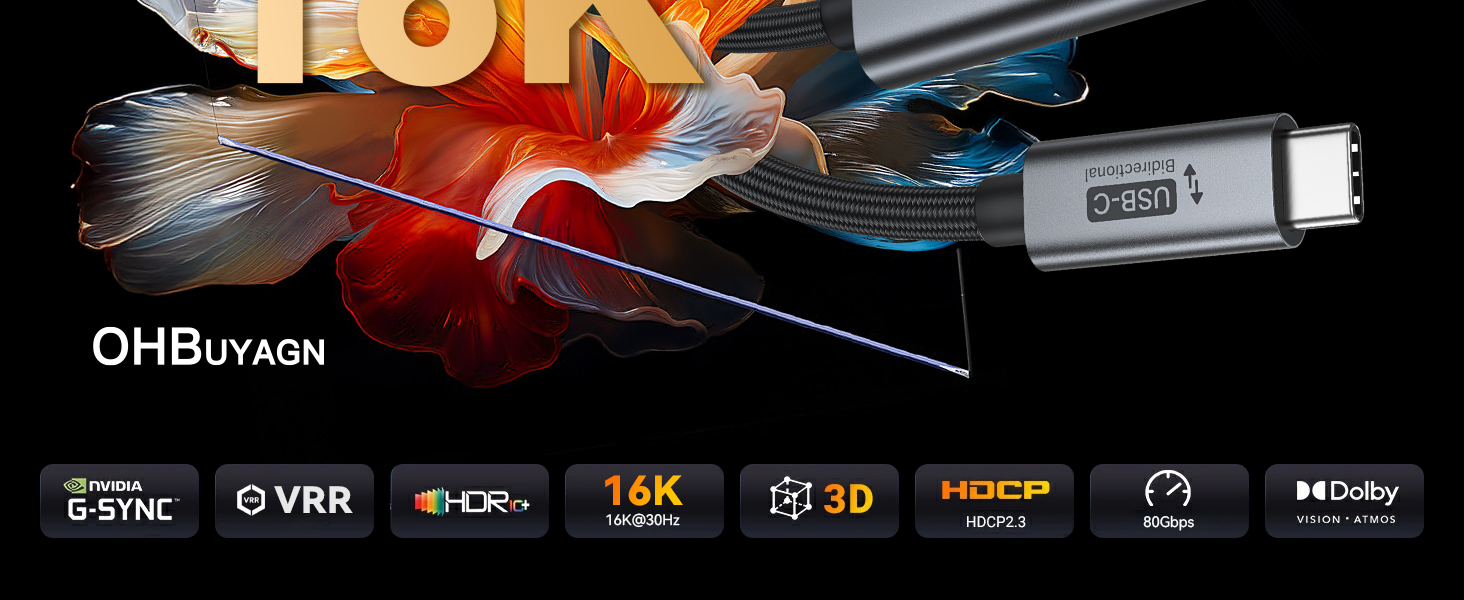 C-DP2.1-16K-02