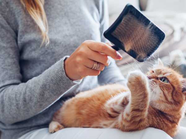 air purifiers for home large room pet True HEPA Air Purifier Large Room bedroom air purifiers